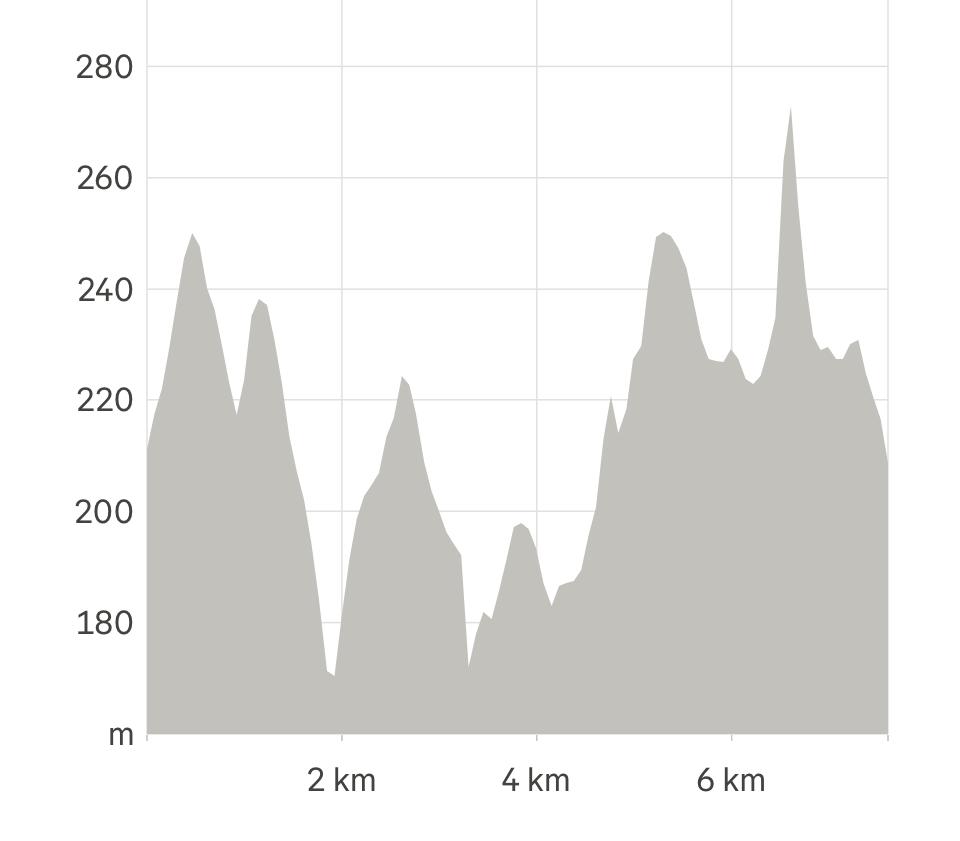 Race Profile Map